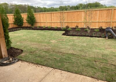 New Zoysia Sod and plantings