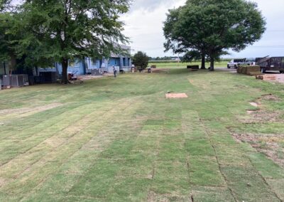 New Bermuda Sod