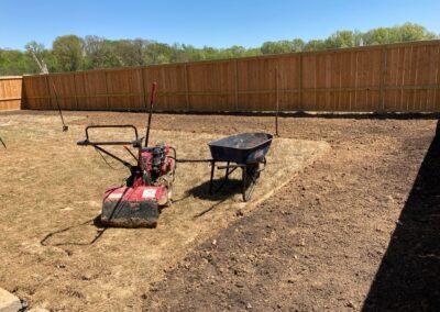 New backyard oasis